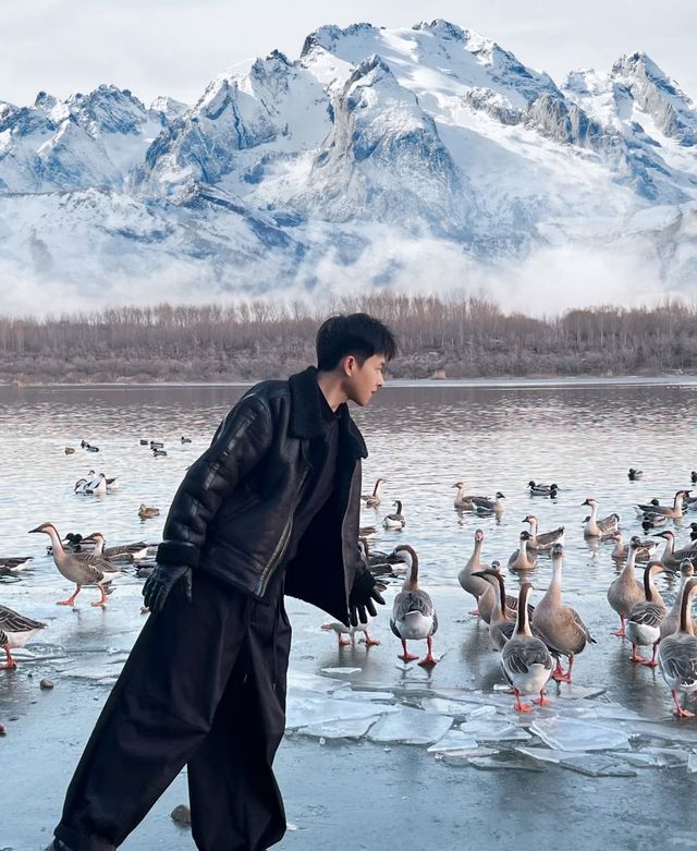 瀋陽鳥島遊玩攻略  景點概況  瀋陽鳥島是渾河水系中的天然島嶼，佔地面積49.26公頃，東北亞候鳥遷
