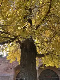 德陽｜石刻公園