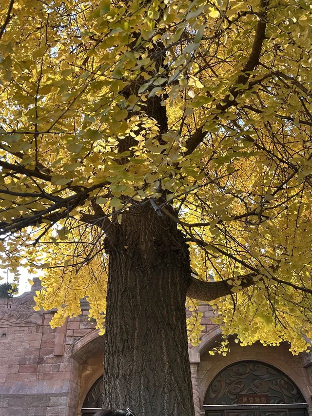 德陽｜石刻公園