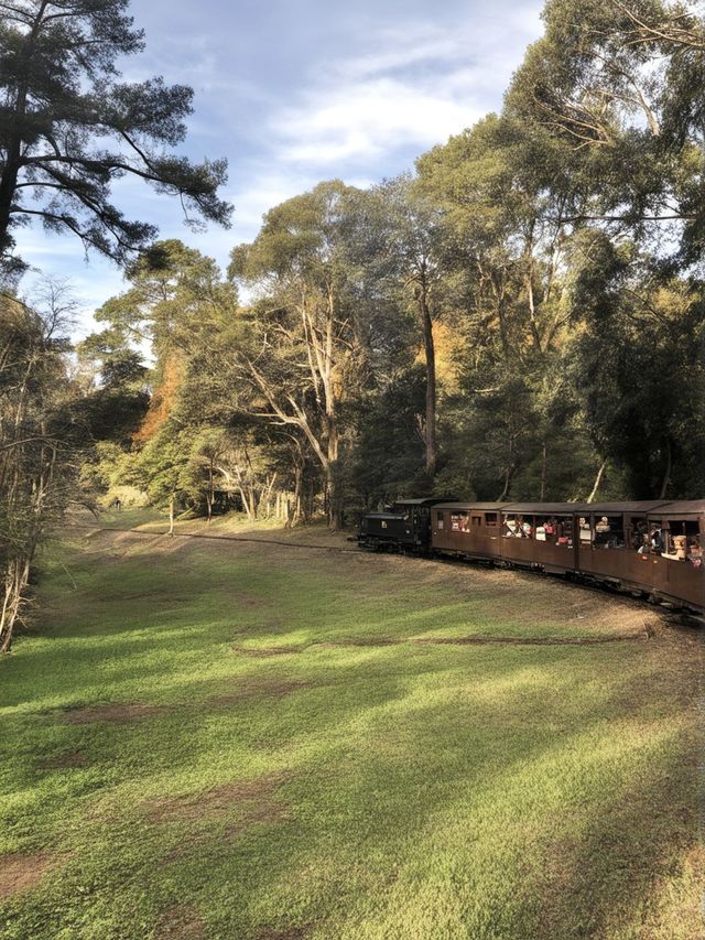 1天澳洲包車遊 輕鬆走遍熱門打卡地 1天澳洲包車遊 輕鬆走遍熱門打卡地