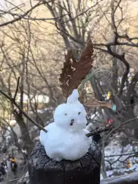 南五臺山保姆級攻略(11.23實拍)