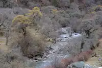 四姑娘山2日遊｜雙橋溝漂流+長坪溝騎馬