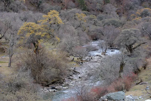 四姑娘山2日遊｜雙橋溝漂流+長坪溝騎馬