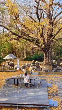 99%的人都不知道的江北賞秋路線~