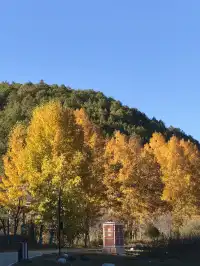 被瀘沽湖美鼠！12.4實拍！