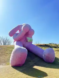 江浙滬溜娃，彷彿闖入現實版童話世界