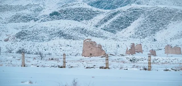 救命!雪後西夏陵是穿越千年的寂靜詩篇 救命!雪後西夏陵是穿越千年的寂靜詩篇
