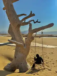 烏海湖反轉之旅！200元解鎖沙漠+冰湖雙重驚