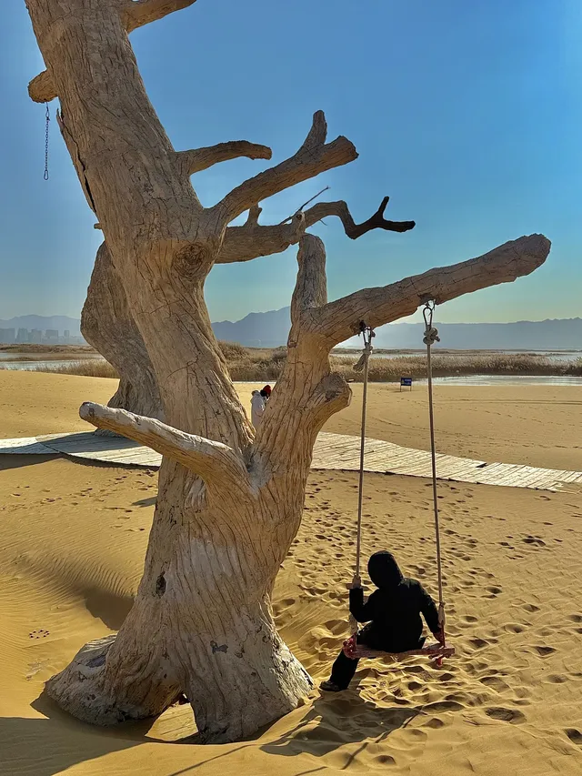 烏海湖反轉之旅！200元解鎖沙漠+冰湖雙重驚