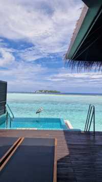 滿月島酒店|撿到寶藏般的快樂度假 : 馬爾代夫滿月島度假村 Furanafushi