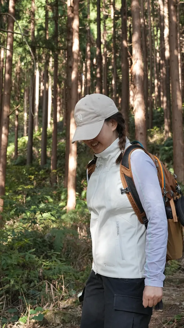 墜入「暮光森林」平陽滿田森林公園 墜入「暮光森林」平陽滿田森林公園