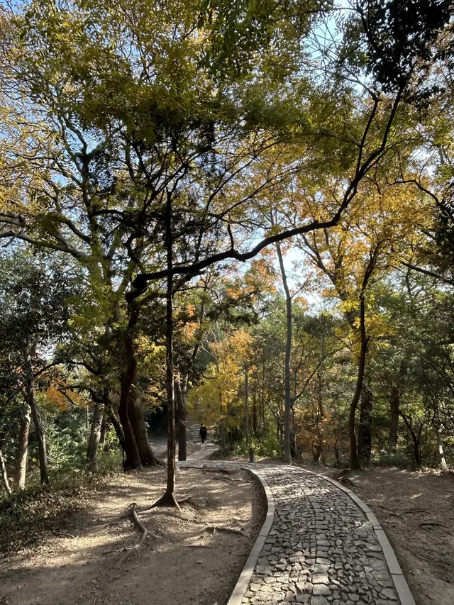 12.4西溪谷漫遊道5km徒步|路線+出片點+tips 12.4西溪谷漫遊道5km徒步|路線+出片點+tips