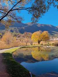 雪山下的藝術暴擊！阿美澤這趟打卡太值了