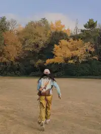 上海植物園紅葉撿秋墜美機位