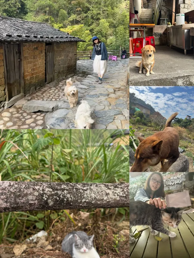 福建漳州土樓-南靖田螺坑+初溪 福建漳州土樓-南靖田螺坑+初溪