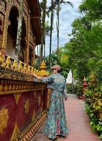 女生專屬西雙版納3天避冬全攻略25℃的溫柔誰能抵抗