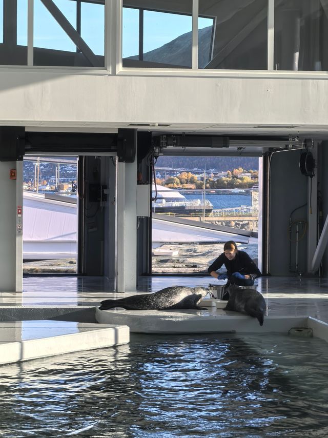 極光之城—特羅姆瑟必打卡攻略