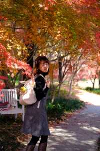 上海金山·花開海上 今年份的紅葉