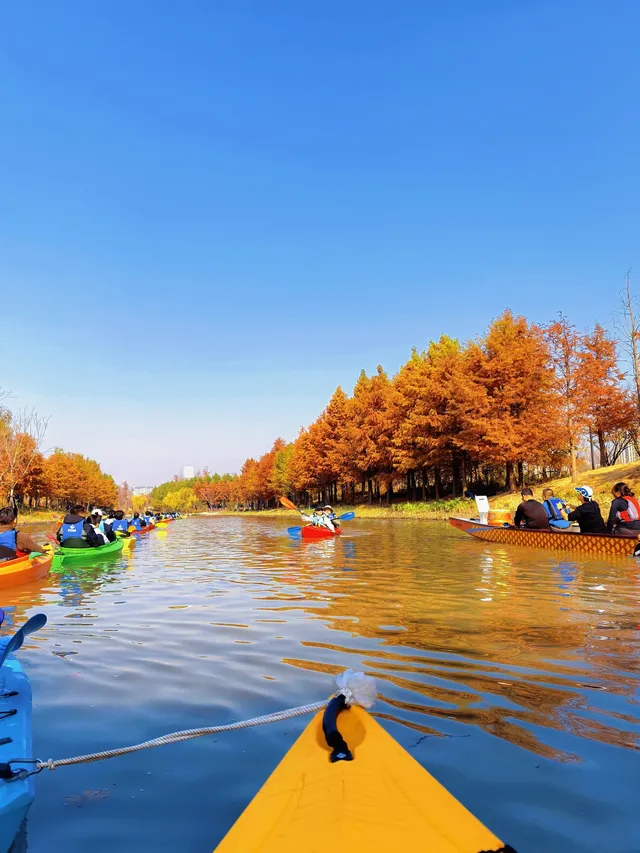 上海秋冬限定浪漫!劃進緋紅水杉秘境裡… 上海秋冬限定浪漫!劃進緋紅水杉秘境裡…