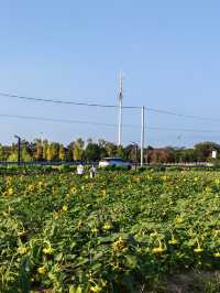 海寧親子遊必打卡