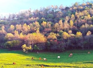 Travel Notes of Guanshan Grassland Scenic Area