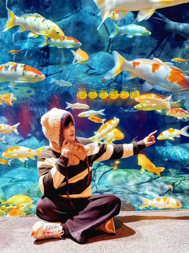 Koi possession brings good luck to the viewer! What you capture is not just beautiful but New Year's good fortune