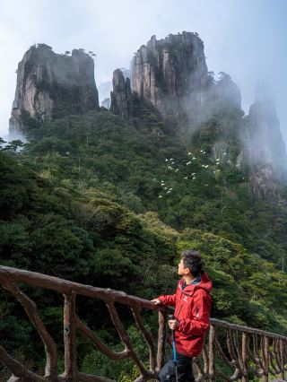황산에 뒤지지 않는다! 장시의 이 산에 감탄했다
