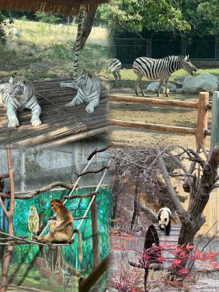 หนีไปเที่ยวมณฑลฉานซีสุดสัปดาห์นี้! 5 สถานที่ท่องเที่ยวลับในเวลาเพียง 2 ชั่วโมง: เมืองโบราณ สถานที่ท่องเที่ยวที่ซ่อนอยู่ และสวนสนุก – ไปดูกันเลย!