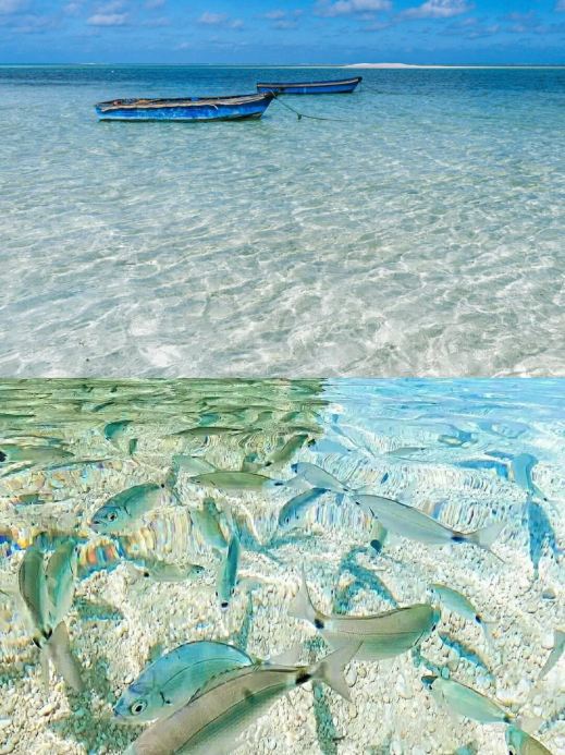 これはモルディブではなく、中国人だけのガラスの海の島です | Trip