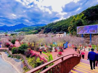 陸河螺洞世外梅園