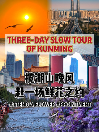 Three days of slow travel in spring city Kunming, embracing a floral rendezvous with the lake and mountains breeze