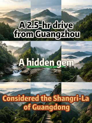 Guangdong little Shangri-La 22℃ mountain forest creek trekking! Summer hidden cool escape guide