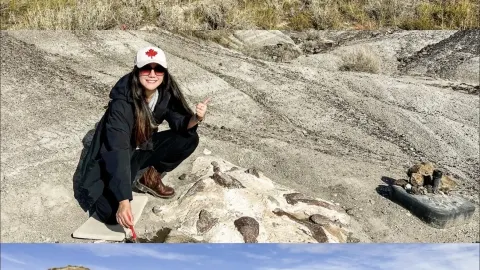 What's it like to dig for fossils in Canada's hidden gem, Drumheller? — traveler post in Edmonton