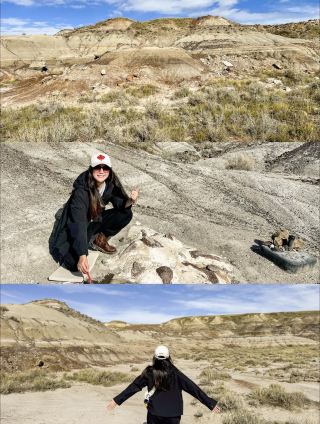What's it like to dig for fossils in Canada's hidden gem, Drumheller?
