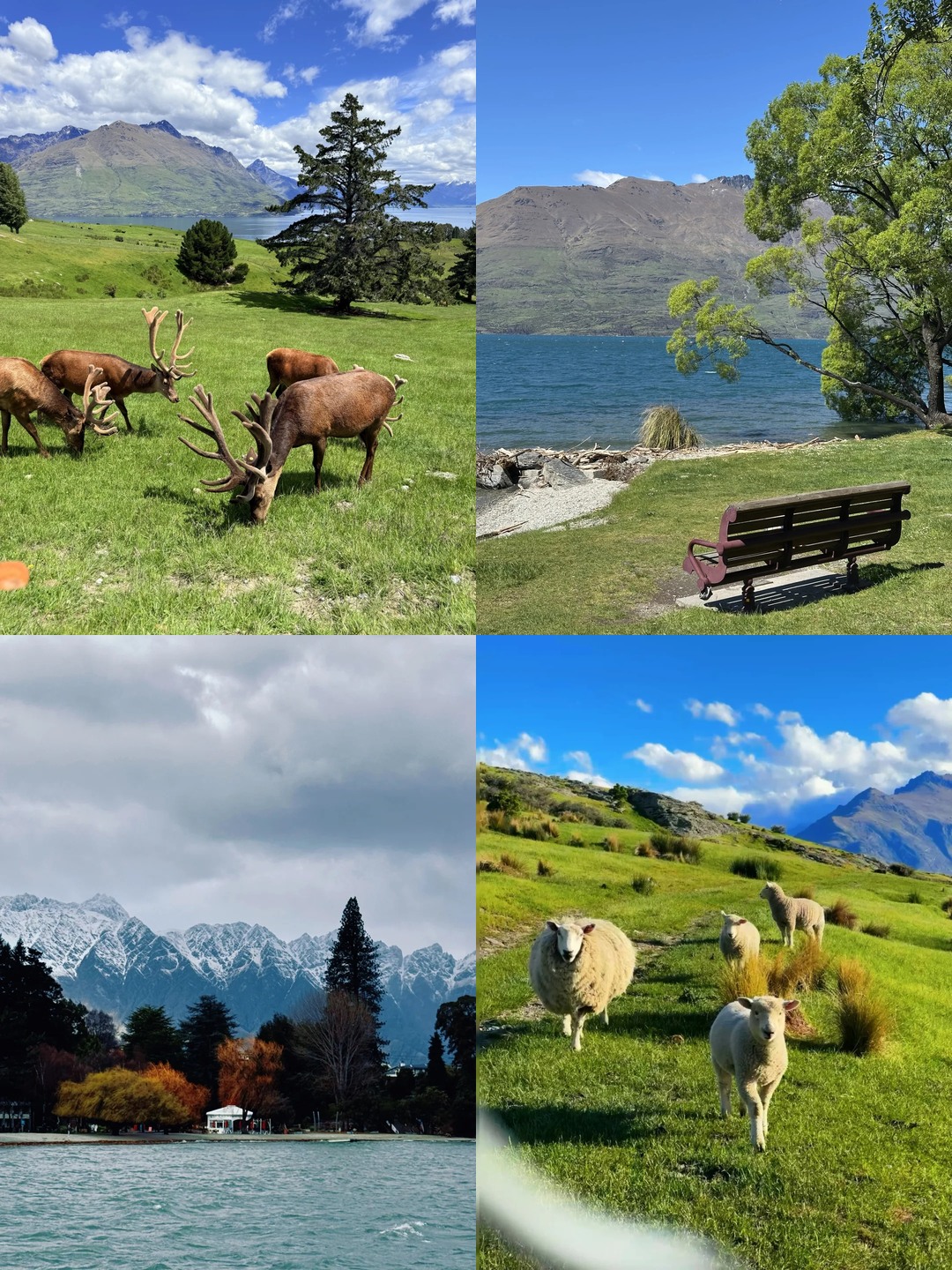 แผนเที่ยวควีนส์ทาวน์ (Queenstown) นิวซีแลนด์ 3 วันช่วงปีใหม่ แบ่งตามโซน