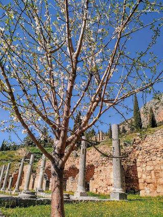 9-day Greece travel guide: don't miss these spots