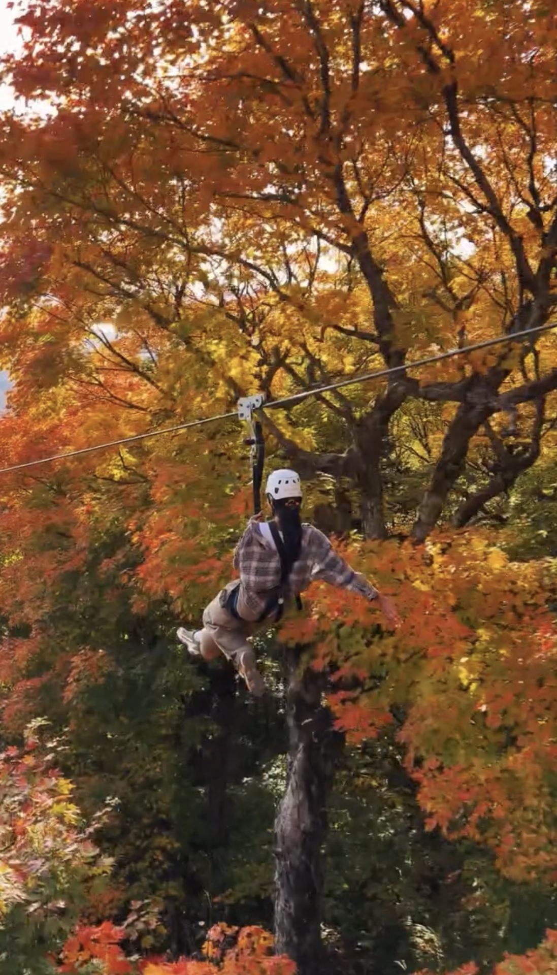 Stunning views during maple leaf season! Soar over mountains of red leaves and take in all of autumn in Quebec 