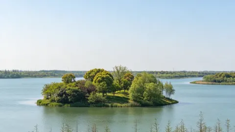 Weekend Escape: A 1.5-Hour Trip from Shanghai to a Real-Life Zelda World | Haining Shenxian Lake Ecological Park — traveler post in Haining