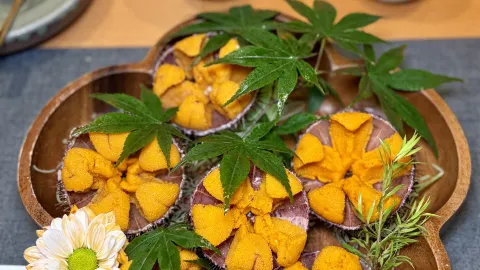 Dalian Xinghai counter-style Japanese dining | I just love their sea urchin!!! — traveler post in Dalian