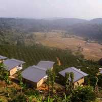 ที่พักเปิดใหม่เชียงใหม่กลางสวนส้ม สวนโชกุนโฮมสเตย์