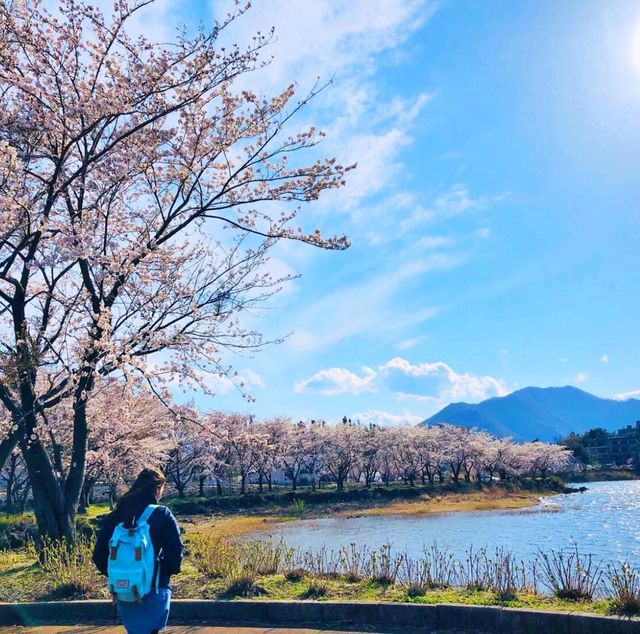 ทะเลสาบคาวากูชิโกะ (Lake Kawaguchiko)​