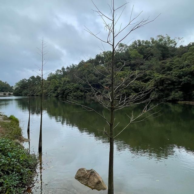 春日郊遊流水響❤️超令紅葉🍁😗情侶💑郊遊必去