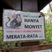 Venture into the Heart of Tanjung Piai