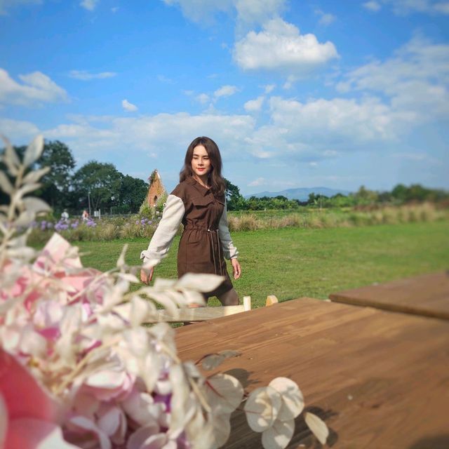 สวนดอกไม้เชียงใหม่ I Love Flower Farm