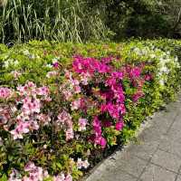 Yangmingshan National Park