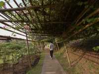 ที่พักบรรยากาศดี ณ สวนไทรโยค กาญจนบุรี