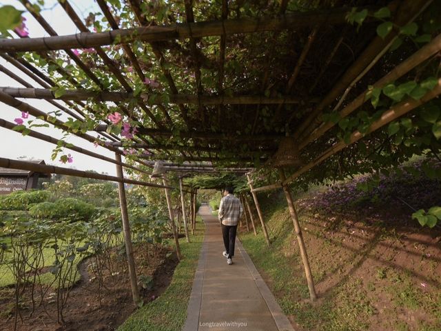 ที่พักบรรยากาศดี ณ สวนไทรโยค กาญจนบุรี