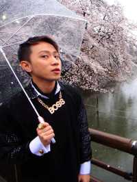 下雨天的櫻花樹 吉祥寺井之頭公園