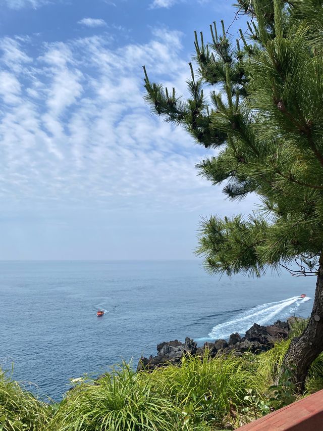 여행가는달에는 제주감성 가득한 주상절리로~🍊✈️