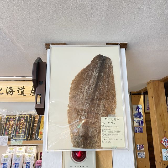 北海道小樽「利尻屋みのや本店」は昆布専門店！アラジンの秘密がおすすめ